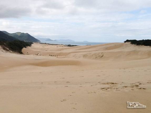 Campo de dunas em Siriú, região de Garopaba, litoral sul de Santa Catarina